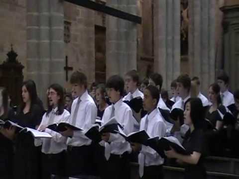 YPAS Concert Choir Incantato Performance at the Sa...