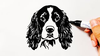 How to Draw an English Springer Spaniel Dog