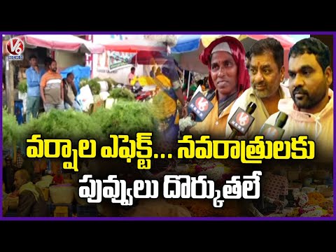 Rainfall Effects Flower Availability During Navaratri Season | V6 News - V6NEWSTELUGU