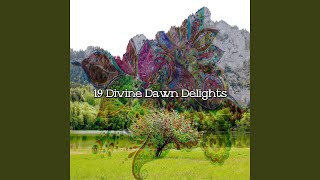 Soothing Serene Soul