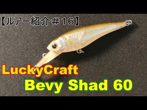 ルアー紹介＃16】ラッキークラフト ベビーシャッド60