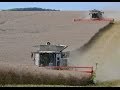 Claas lexion 780 en 12 m et 770 en1050 m  la moisson du colza dans l  aisne