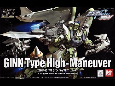 1w Delv Bandai HG Gundam Seed MSV Zgmf-1017m Jin High Maneuver 1/144 for sale online 