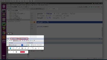 Python & PyCharm  變量篇 24：精通Python 程式數據教學﹝中文﹞_ 擴展PyCharm調試細節及執行程序