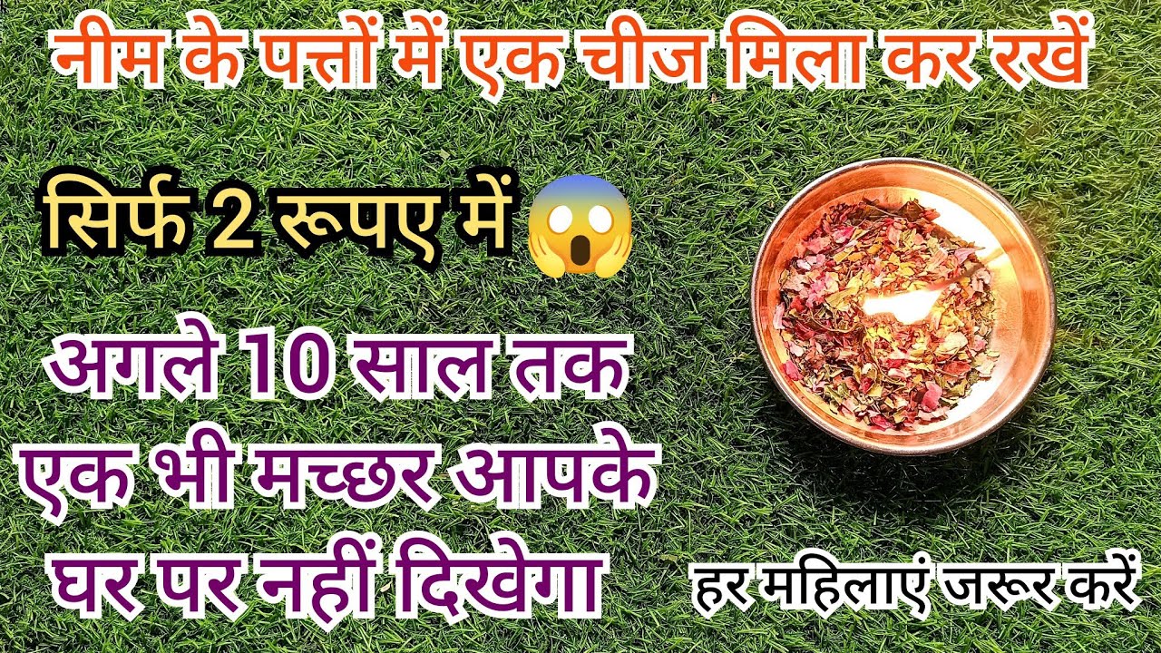 Machhar Insect ₹2 में घर पर बनायें मच्छर मारने का लिक्विड सिर्फ दो चीजो/Homemade ...