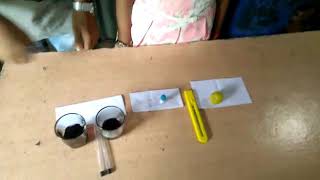 China Rose Experiment advance screenshot 4