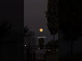 لافي العازمي والله ان فقده يعنيني بدون موسيقى ذوقي للناس الراقيه