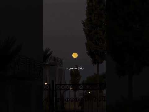 لافي العازمي والله ان فقده يعنيني بدون موسيقى ذوقي للناس الراقيه 