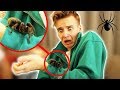 Surprising my boyfriend with a new pet!