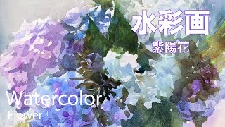 Paint a hydrangea by watercolor   紫陽花を描く　水彩画　張学平