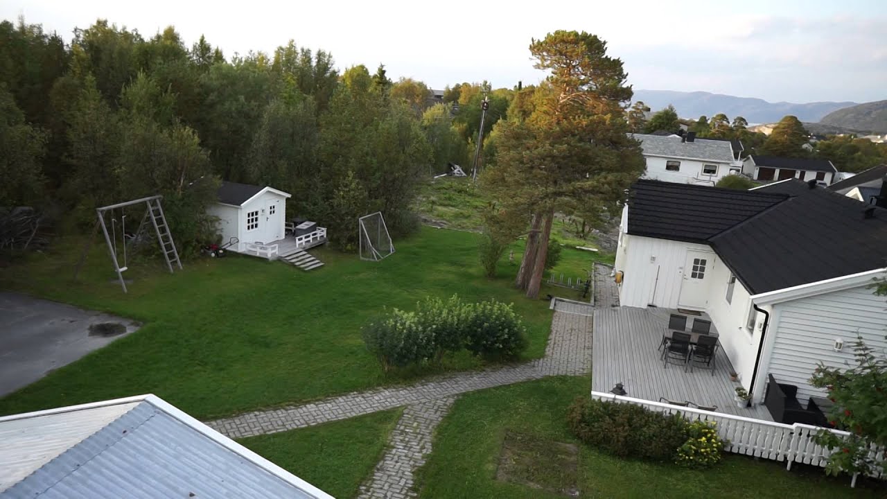 Arris zhaoyun 3 axis gimbal with Sony a6000.