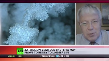 Russian Scientist Claims to Have Discovered an Ancient Bacteria That Provides Eternal Life If Inject