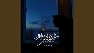 别以为忘不了你