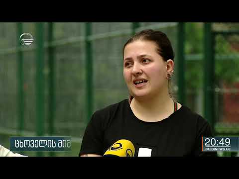 ცხოველთა მიმართ სასტიკი მოპყრობის ფაქტი