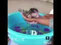 赤ちゃん猿をお迎え　新しい家族