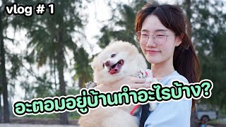 vlog กลับบ้านกับอะตอม...ตะลุยกินไม่หยุด