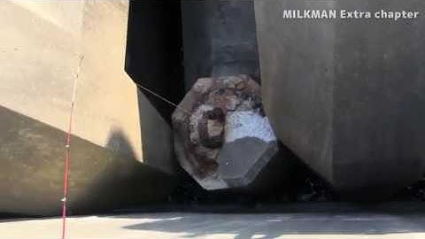 Học cách câu tôm hùm của người nhật 02