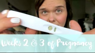 24 WEEKS PREGNANT, EARLY SYMPTOMS  PREGNANCY UPDATE | Charlotte Taylor