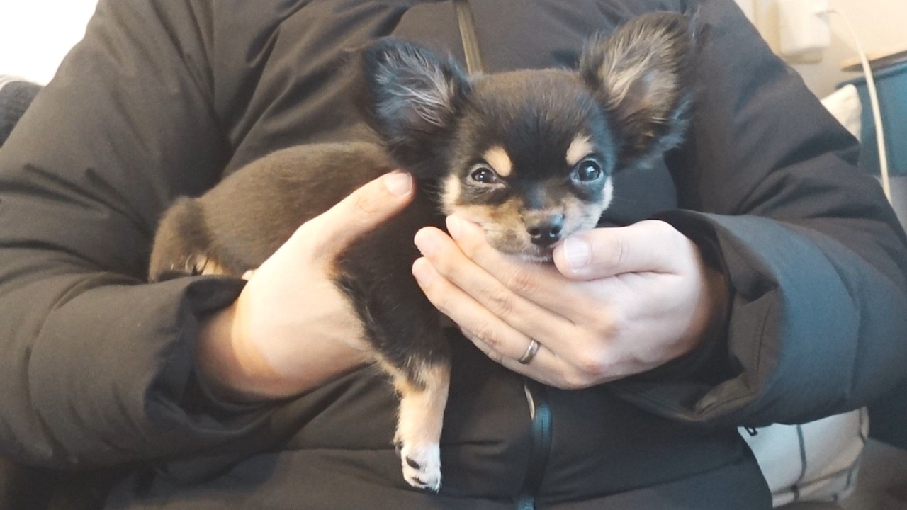 僕はもう疲れたんだ、、、