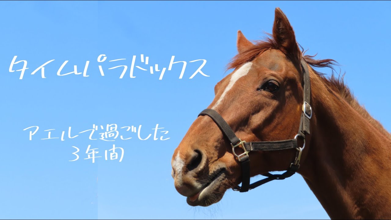 タイムパラドックス  〜アエルで過ごした3年間〜