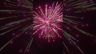 Sonny Fireworks Pyro Barbie 6 sonnyfireworks sonyfireworks skyshot diwali diwalicelebration