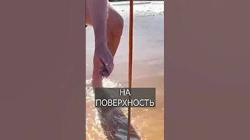 Австралийцы выманивают ЧЕРВЕЙ из песка