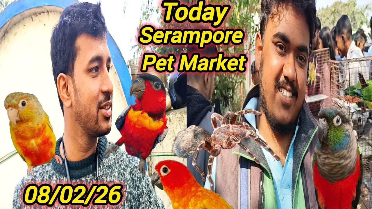 Today Serampore Pet Market। মাথা খারাপ করে দেওয়া কালেকশন 😳।