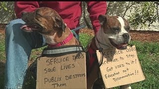 Fort Myers Publix worker denied service dog protests with supporters