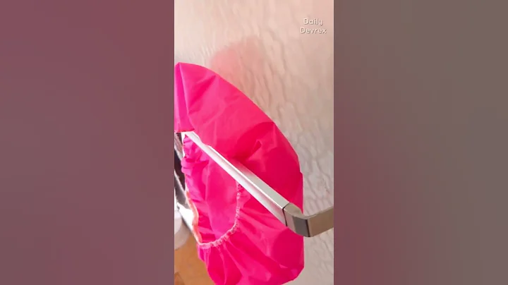 Video 80631: devon rex boy, devon rex playing, cute devon rex, devonrex, cat