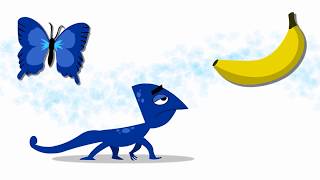 Colour Changing Chameleon