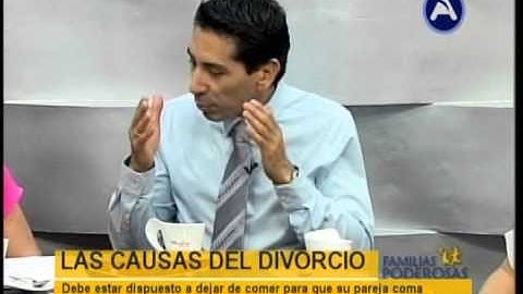 LAS CAUSAS DEL DIVORCIO