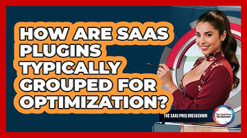 How Are SaaS Plugins Typically Grouped For Optimization?