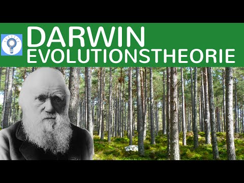 Evolutionstheorie Charles Darwin Evolutionstheorie Charles Darwin