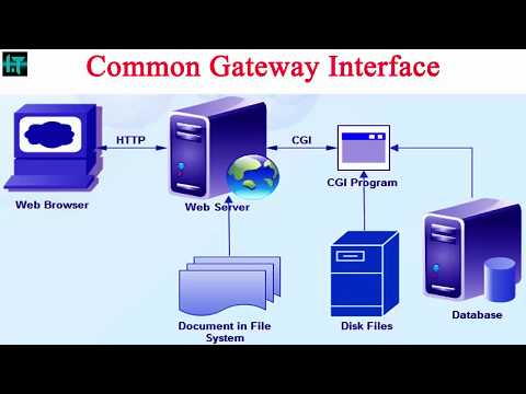 Common Gateway Interface(CGI) || working process of  Common Gateway Interface