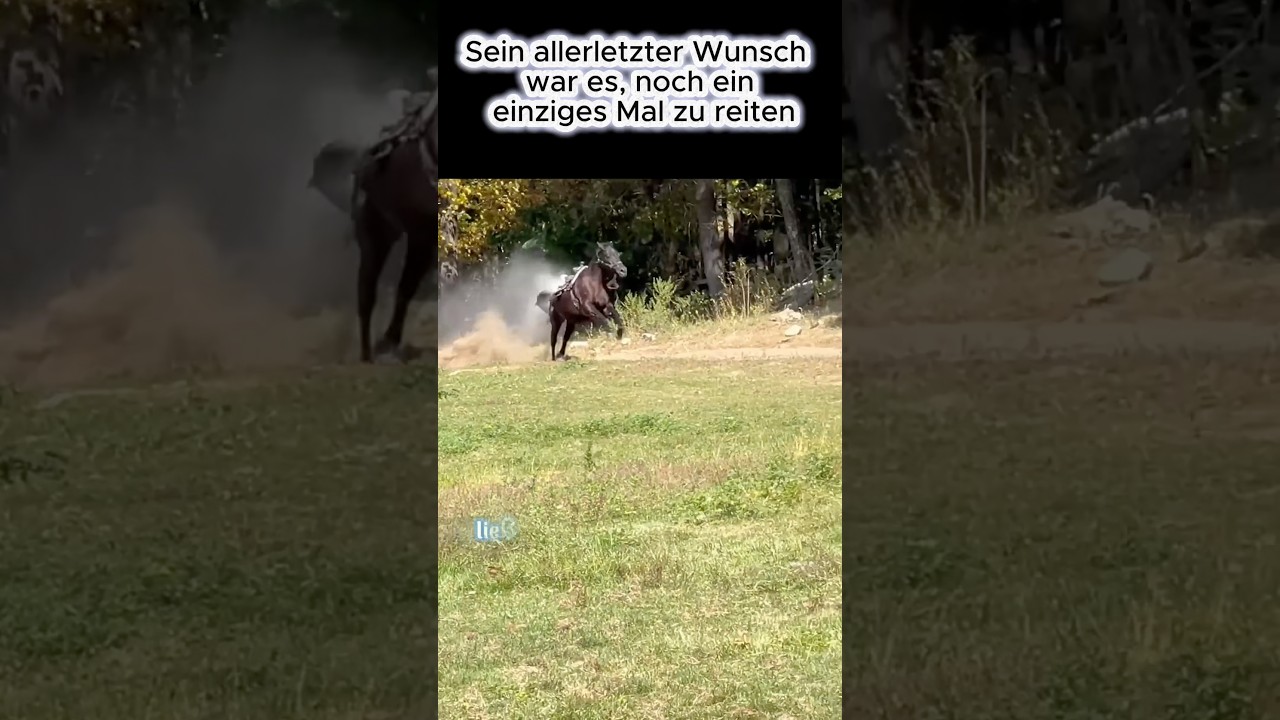 Sein allerletzter Wunsch war es, noch ein einziges Mal zu reiten 🥺🏇❤️🩹
