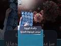 جائحة كورونا تترك أثرا مقلقا على الدماغ حتى من لم يصب بالفيروس mp3