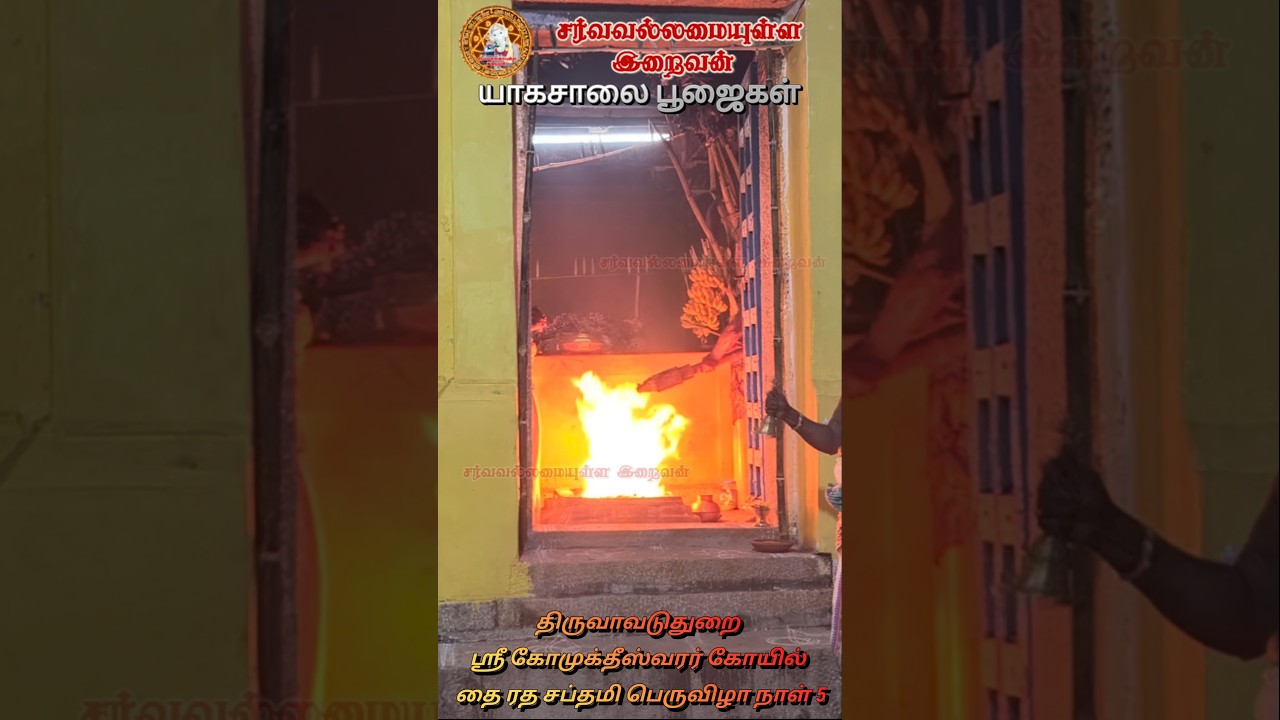 திருவாவடுதுறை கோமுக்தீஸ்வரர் கோயில் தை ரத சப்தமி விழா நாள் 5 யாகசாலை பூஜை Sarvavallamaiyulla Iraivan