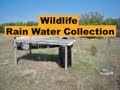 Rain Water Collection For Wildlife & Hunting