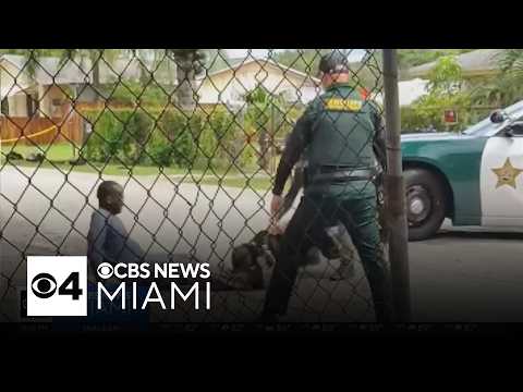 Broward Sheriff's K-9 seen biting man during rough arrest caught on video