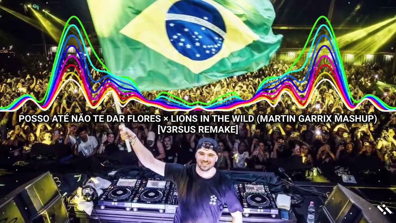 Posso Até Não Te Dar Flores × Lions in the Wild(V3RSUS Mashup | Inspired by Martin Garrix)