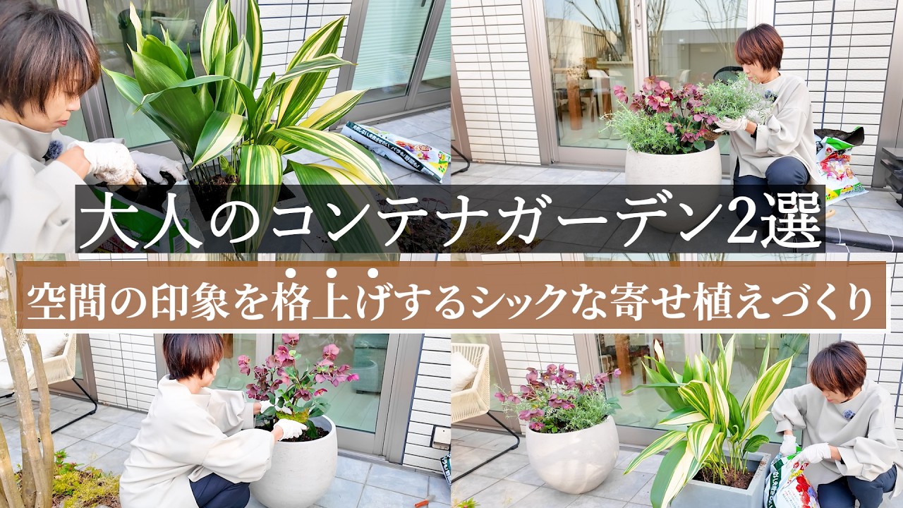 Two Container Garden Ideas for Adults] Creating Chic Container