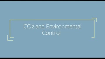CO2 and Environmental Control | Harley Smith