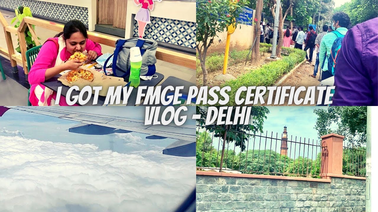 I Received My FMGE Passing Certificate | Delhi Vlog
