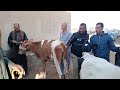 فيديو منوعات مع اللي خارج من سوق بيبان العمومي للمواشي يوم 27 10 2025