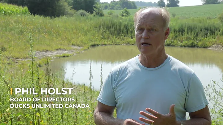 Wetland Restoration for Landowners