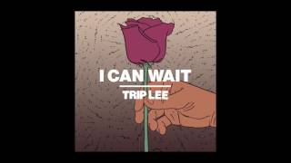 Video-Miniaturansicht von „Trip Lee - I Can Wait“