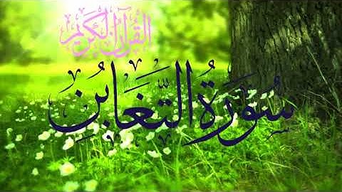 سورة التغابن بصوت القارئ: محمد عبد الحكيم هائل