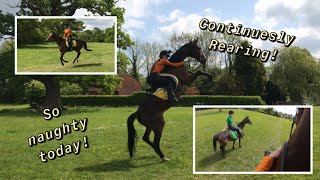 Crazy Hack! | GoPro | Equinemaddie