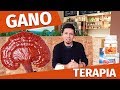 Ganoterapia