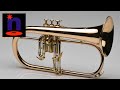 "Who Said More Brass???" | Experimental | 2019